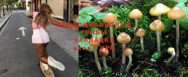 индика Алексеевка