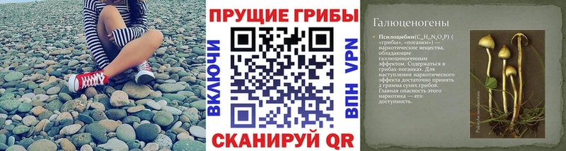 Купить закладки  Липецк  Псилоцибиновые грибы Magic Shrooms 